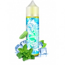 Icee Mint 50ml Fruizee - Eliquid France