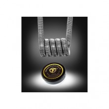 Framed Staple Full SS 0.25 ohms 2 pcs - Fumytech