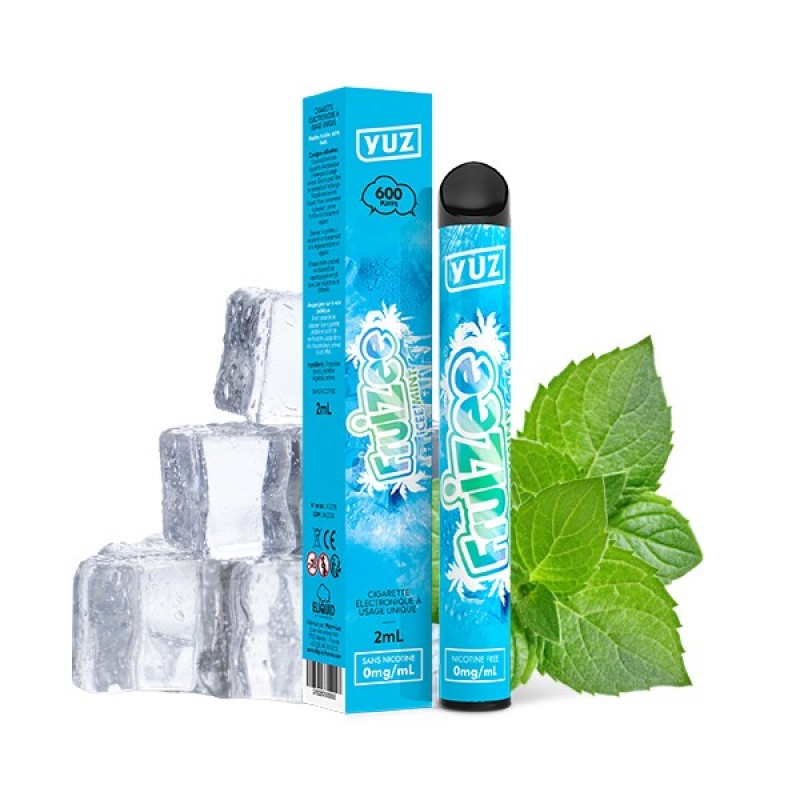 Icee Mint Yuz Fruizee - Eliquid France